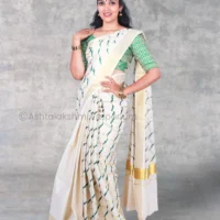 Embroidery design Cotton Tissue Saree