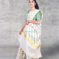 Embroidery design Cotton Tissue Saree
