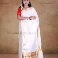 Copper border with Maroon border and lines Cotton Tissue Saree