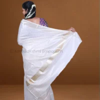 Lite Gold with lines Cotton Tissue Saree