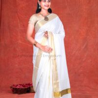 BCH Gold Border with Lines Cotton Saree