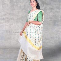 Embroidery design Cotton Tissue Saree